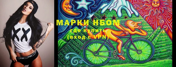 шишки Володарск