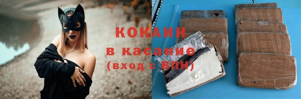 шишки Володарск