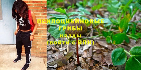 крисы Вяземский