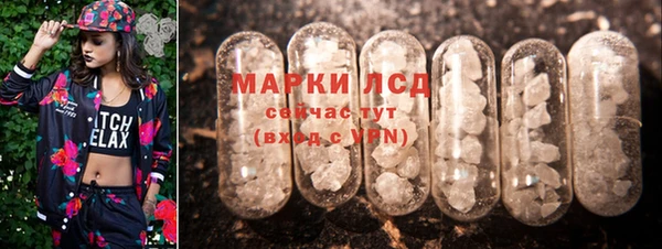 шишки Володарск