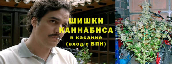 шишки Володарск