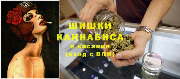 шишки Володарск