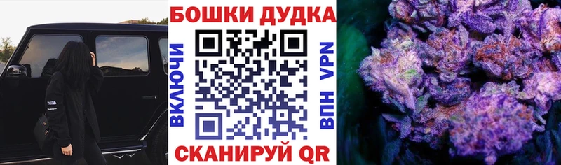 Канабис планчик хочу Ковров
